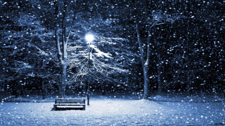 Snowy park night streetlight magic - a street light in the background free wallpaper
