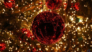 Christmas tree red ball lights 2 - a red ball free wallpaper
