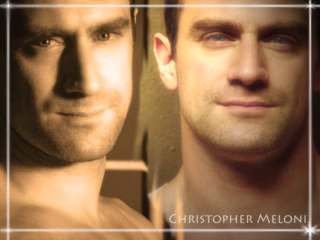 Bald man bald head white - colin hayes free wallpaper