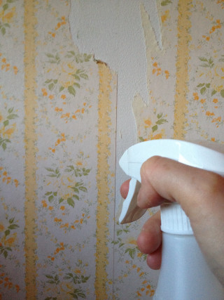 Person spraying wall spray bottle - billie waters free wallpaper for mobile