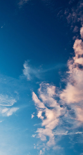Plane flying sky clouds foreground - free sky wallpaper for mobile