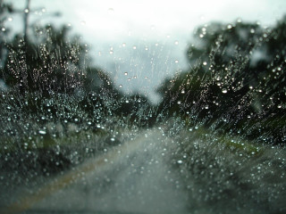 Rain covered windshield trees street - tree free wallpaper