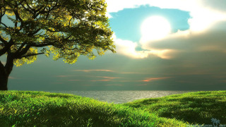 Tree grassy hill lake sun - nature free wallpaper