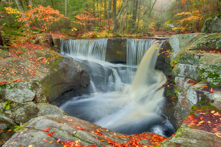 Waterfall forest fall leaves rocks - fall free wallpaper