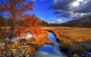 Stream dry grass cloudy sky - a few cloud above free wallpaper for desktop