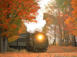Train forest autumn leaves bright - a bright light free wallpaper