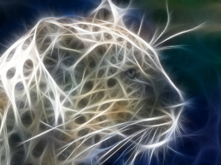 Leopard head blue background white - white line free wallpaper