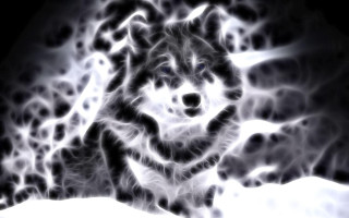 Wolf black white snow background - generative free wallpaper
