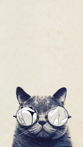 Cat glasses reflection funny face - symmetrical eye free wallpaper for mobile