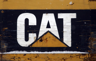 Cat sign closeup triangle bottom - logo free wallpaper