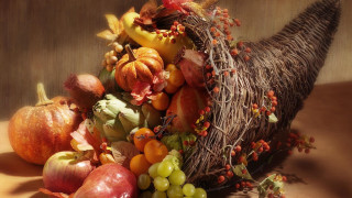 Fruit elephant head table caravaggio - fall vibrancy free wallpaper