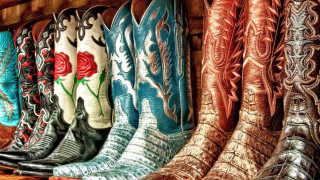 Cowboy boots shelf flowers rose - western free wallpaper