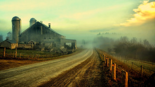 Dirt road barn fence foggy - the foggy day free wallpaper