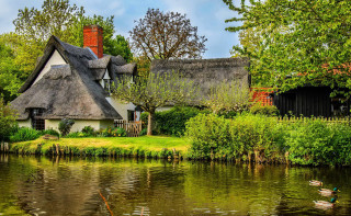 Thatched roof house pond duck - a duck free wallpaper