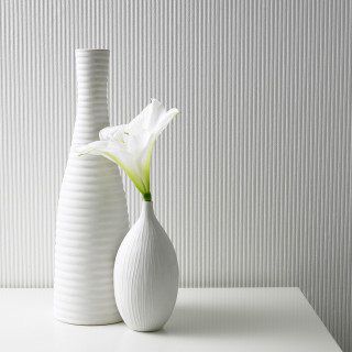 Two white vases single flower - christian hilfgott brand free wallpaper for tablet