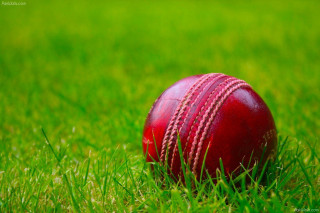 Red cricket ball grass green - new objectivity free wallpaper