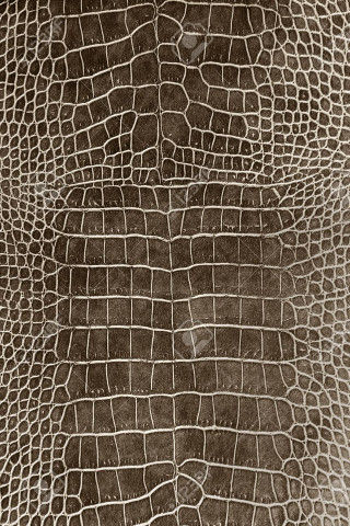 Crocodile skin pattern wallpaper closeup - free textures wallpaper for mobile