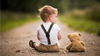 Boy teddybear road grass bushes - a little boy free wallpaper