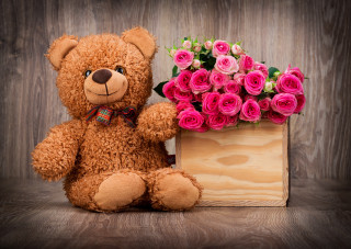 Teddy bear box roses wooden - a wooden box free wallpaper