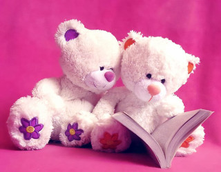 Two white teddy bears holding - a pink background behind them free wallpaper