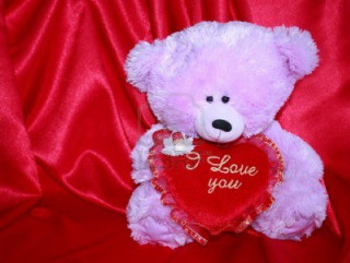 Pink teddy bear heart red 2 - cedric seaut free wallpaper for desktop