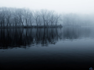 Lake trees fog water foreground - anthony s waters free wallpaper