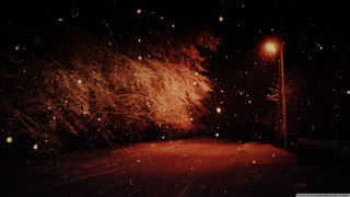 Street light snowy night snowflakes - the ground and trees free wallpaper