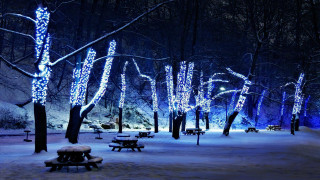 Snowy park glowing lights night - covered ground free wallpaper for desktop