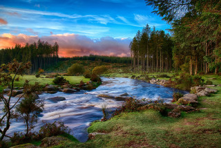 River lush forest cloudy sunset - a lush green forest under a cloudy sky free wallpaper