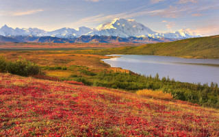 Mountain lake redflowers evening sunset - red flower free wallpaper for desktop