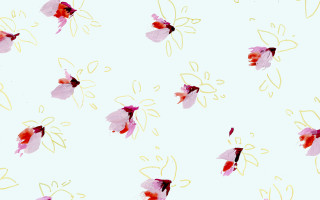 Pink red flowers white background - accent free wallpaper