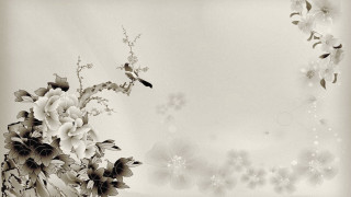 Black white flowers bird branch - chen rong free wallpaper