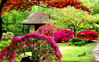 Garden small house trees flowers 3 - a path free wallpaper
