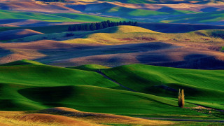 Green field fence hills background - the hill free wallpaper