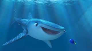 Cartoon whale fish water sunlight - a fish free wallpaper