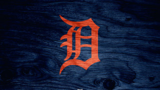 Wooden surface logo bat closeup - don eddy free wallpaper