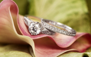 Wedding rings flower petals pink 2 - ring free wallpaper