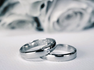 Wedding rings rose background foreground - ring free wallpaper