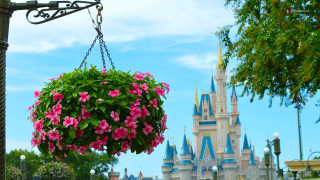 Hanging flower pot castle sky - a castle free wallpaper for desktop