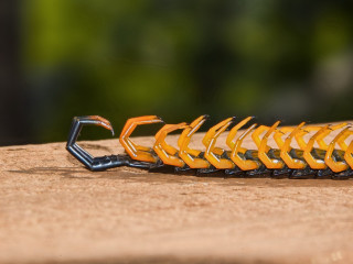 Bug macro woodland desert outdoors - a close up free wallpaper