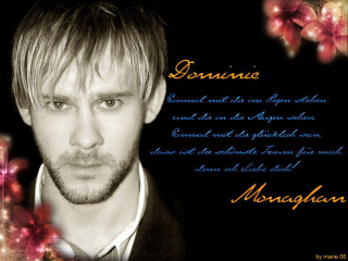 Bearded man suit flower poster - a flower free wallpaper