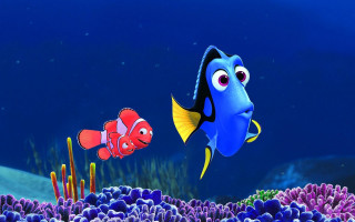 Blue fish red fish swimming - a scene free wallpaper