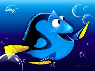 Blue fish yellow fin swimming - mouth free wallpaper