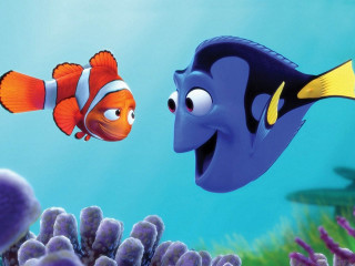 Clownfish corals bluewater pixar disney - blue water free wallpaper