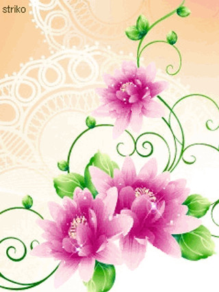 Pink flower green leaves white 2 - beautiful free wallpaper for mobile