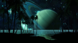 Planet star palm trees night - a bright light free wallpaper