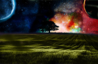 Tree field stars planets bright - a sky full free wallpaper