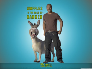 Man donkey waffles face danger - a caption free wallpaper for desktop
