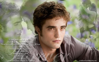 Man hat flower picture image - edward ben avram free wallpaper