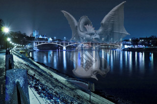 Large bird flying river bridge - wing free wallpaper